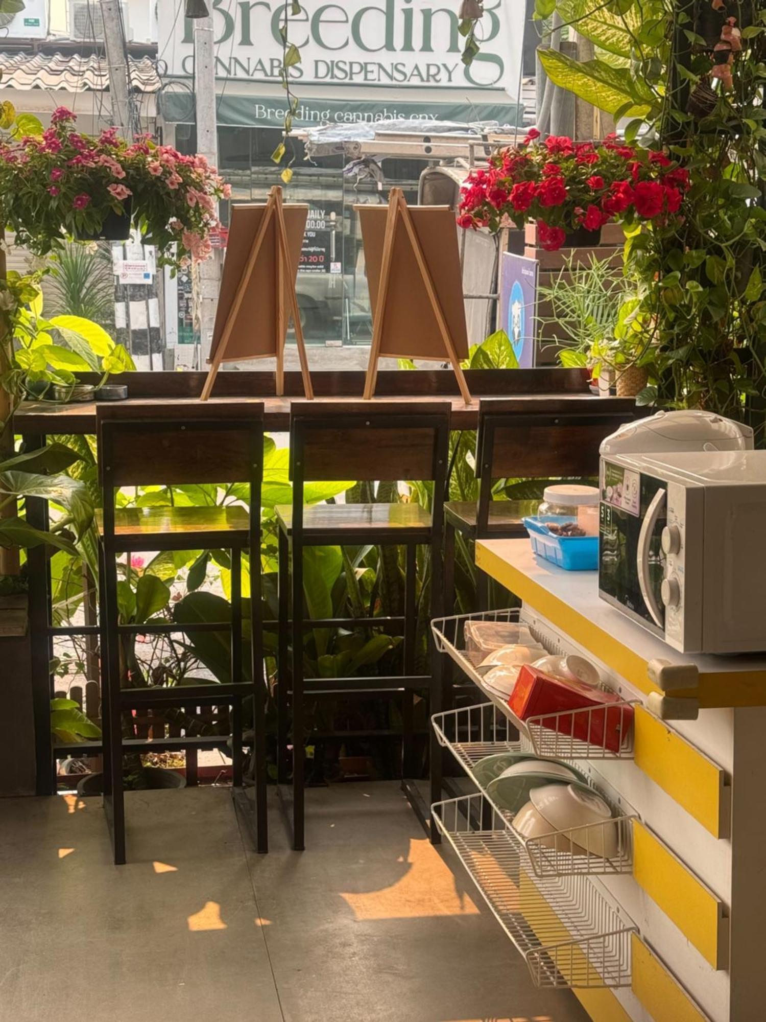 Chiang Mai Panda Hostel Zewnętrze zdjęcie