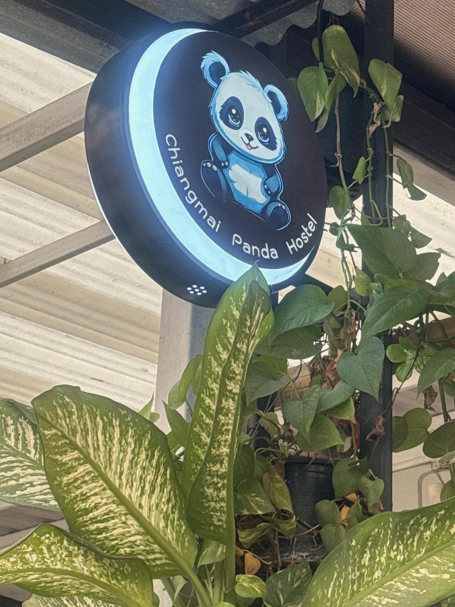 Chiang Mai Panda Hostel Zewnętrze zdjęcie